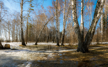 Весеннее / В черте г.Томска есть красивые места.