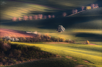 ZIGZAG / Весна в Южной Моравии. © https://phototravel.pro