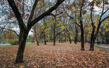 В осеннем парке... / ***