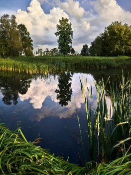 Mirror lands / ***