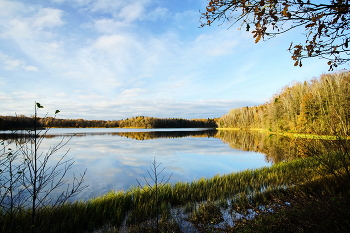 Глубокая осень . / Берег озера в ноябре .