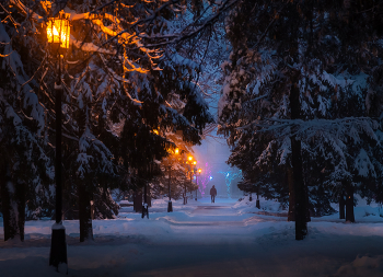 Ночной парк / Волшебство снега в парке Ставрополя. 
Из фотопроекта «Открывая Ставрополье».