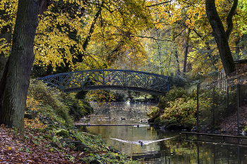 Мост и осень. / **Мост и осень,парк,утки,деревья,цветные листья