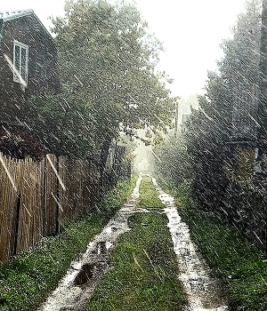 ливень / Внезапный дождь