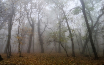 В осеннем парке..... / Железноводск. Октябрь