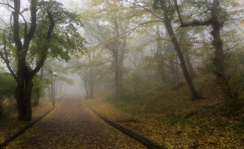 В парке осеннем..... / Железноводск. Октябрь