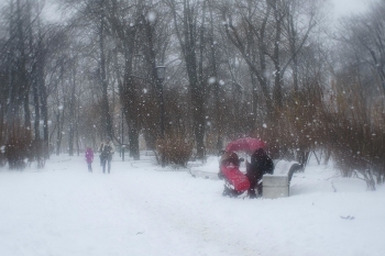 Зима пришла в Никольский сад / Снято на монокль 35 мм мастера Виктора Жарикова