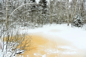 Оттепель ... / Зимний этюд ...