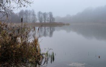 Поздняя осень / ноябрь, озеро, туман