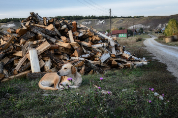 Сторож... / Провинция. Не все сёла ещё газифицированы...