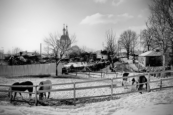 Зимний сюжет из глубинки / Серпухов 2010 год