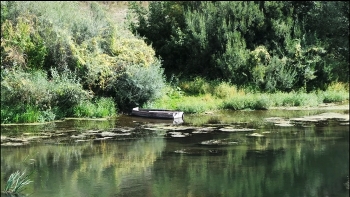 Лодка / Река Сосна в районе села Успенское.