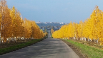 Золотая осень / Дорога на Ливны.