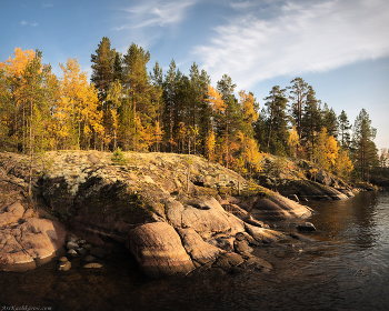 &quot;Осенние берега&quot; / Гранитные берега, поросшие лишайниками, сосны и золотые березки, и конечно, воды Ладожского озера – вот составляющие пейзажа осенней Ладоги