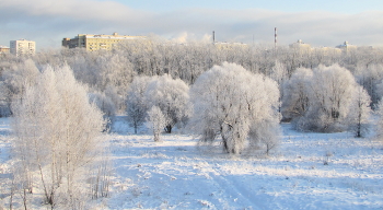 Зимний пейзаж. / Красота зимы.