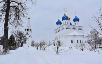 Флорищева пустынь / Свято-Успенская Флорищева пустынь была основана схимонахом Мефодием в XVII веке на Флорищевой горе у реки Лух.
Расцвет монастыря приходится на время царствования Федора Алексеевича. Молодой государь сам приезжал во Флорищеву пустынь в поисках людей истинной веры и святых чудотворцев. Для этого из Москвы через Вязники и через лес проложили до монастыря специальную Царскую дорогу. Пустынь так понравилась царю, что он сравнивал ее с «раем едемским».
Долгое время обитель считалась одной из самых красивых в Российской империи.