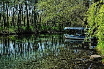 Первое впечатление / Артезианское озеро в монастыре Св. Наума в Охриде.