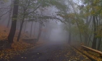 Утром туманным..... / Железноводск. Октябрь