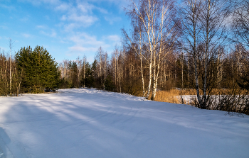 Мороз и Солнце, день чудесный # 03 / 01 января 2024. Восточное Подмосковье, Дрезна.