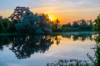 Летнее утро. / Озеро Малое Нечаево.