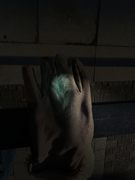 &nbsp; / in the shade