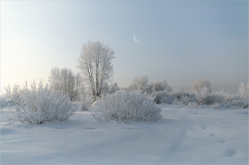 Морозное утро / пейзаж Морозное утро