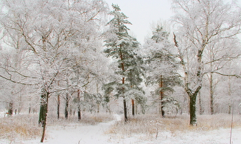 Зимний пейзаж! / Зима в парке