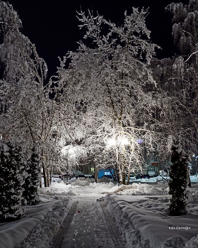 Прогулка / После снегопада