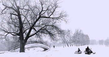 Пасмурная зима... / Московские парки...