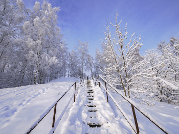 Лестница в зиму / Зима