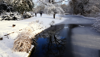 Отражение / Зима в парке