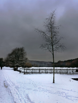 Терлецкий парк (давно) / зима снег пасмурно