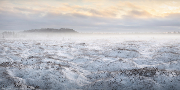 &quot;Ковёр под снегом&quot; / Начало зимы на болотах Ленинградской области. Выборгский район