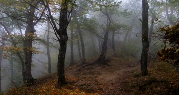 Утро в горах....... / Железноводск. Октябрь