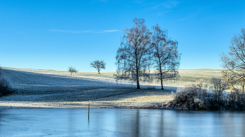 &nbsp; / Bäume am Eichener See