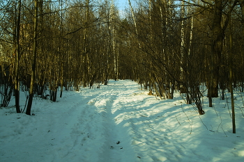 Мороз и солнце сегодня / Мороз и солнце сегодня