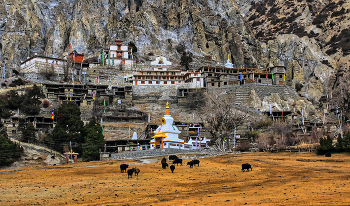 Монастырь в Браге / Непал. Гималаи