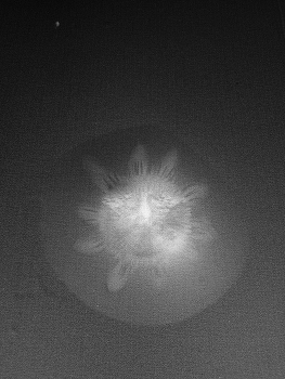 &nbsp; / Who are you?