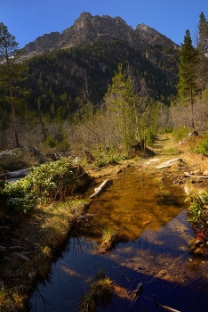 Весна в горах / Кавказ