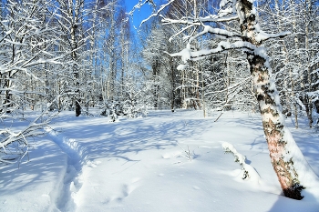 Тропинка домой ... / ***