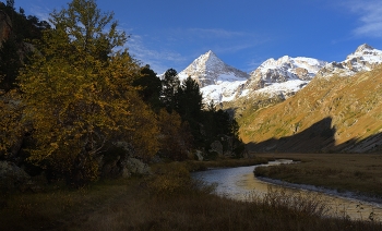 Осеннее утро / Мырды