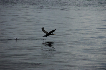Разбег и взлет / Разбег и взлет
