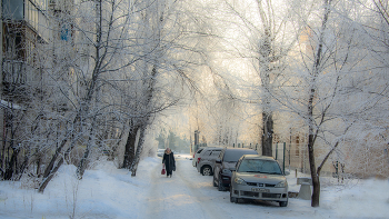 &nbsp; / Иней в городе в конце февраля