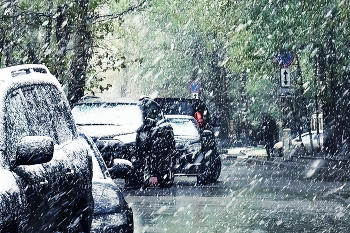 Флешмоб на тему «У природы нет плохой погоды». (№ 5) / Снегопад в мае. Москва 2017 г.