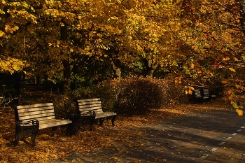 В Осеннем парке / ***