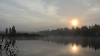 Туманное утро на озере / ***