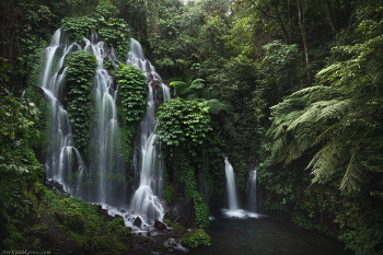 &quot;Пейзажи тропического леса&quot; / Самые большие и самые популярные водопады отнюдь не всегда самые живописные. Этот водопад совсем небольшой, скрыт под пологом тропического леса. Остров Бали, Индонезия