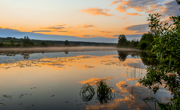 Летним утром. / Озеро Сосновое.