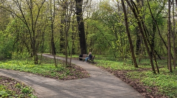 Первая зелень / Москва