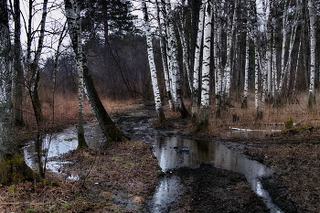 Дождливо. / *Томская область.**